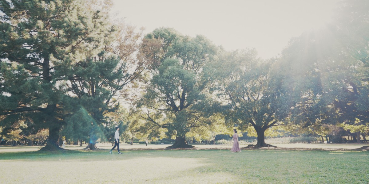 Lemon Wedding Opening Movie